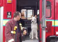 smokey_1_uk's profile