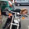 jilly065's BikerMatch Profile