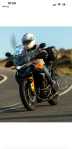 Tiger rider's BikerMatch Profile